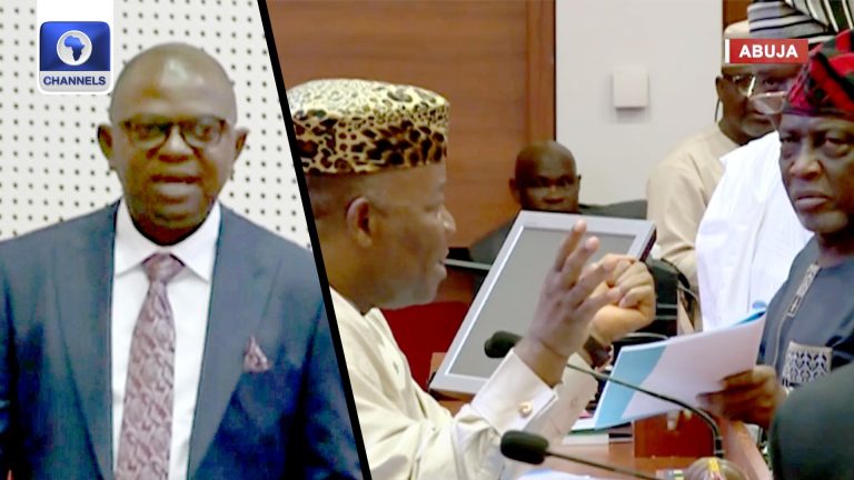 Drama In Senate Over ‘Discrepancies’ In Ministerial Nominee’s Biodata