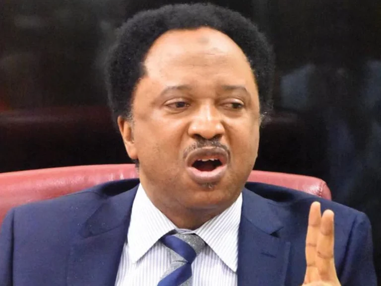 Senator Sani