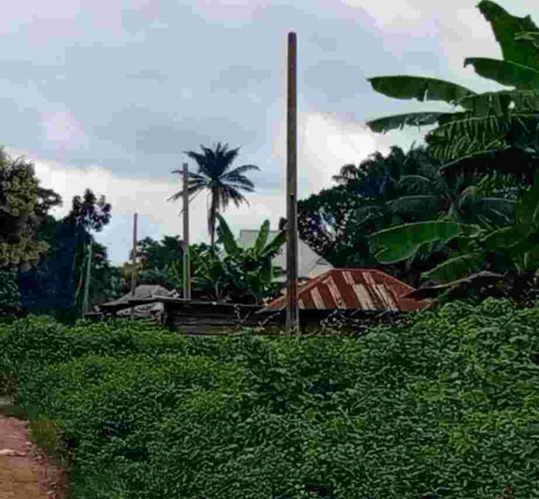 INVESTIGATION: How ‘Contractors’ Messed Up Rural Electrification Project In Benue After Collecting Over N124m Unwired electric poles in Ojigo.
