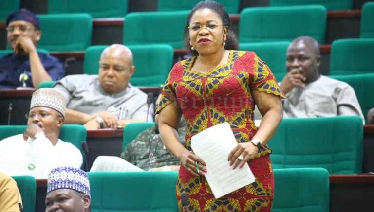 Attacks: Reps Urge FG To Deploy Surveillance To Benue Communities Hon. Blessing Onuh