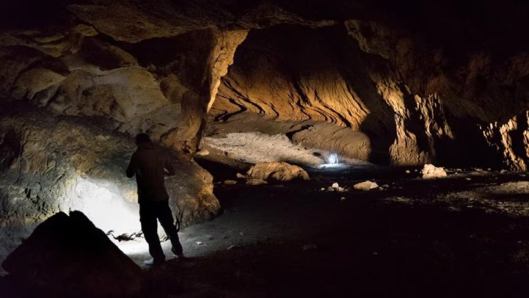 A person stands in Pebdeh Cave, in the southern Zagros Mountains, Iran, in this undated photo obtained by Reuters on March 25, 2024. Pebdeh Cave was occupied by hunter-gatherers as early as 42,000 years ago, inferred to be Homo Sapiens. Mohammad Javad Shoaee/Handout via REUTERS/File Photo