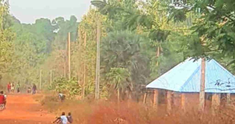 Some of the recently planted electric poles.