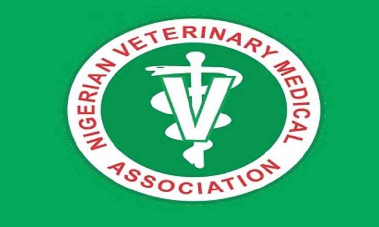 Nigeria Loses N4.5bn To Newcastle Disease Annually – NVMA NVMA