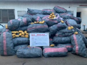 NDLEA Arrests Alleged Most Wanted Drug Baron In Lagos Some of the drugs intercepted from the suspect in 2023