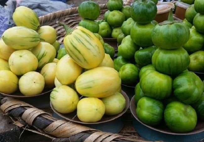 Why I Appointed SSA On Garden Egg, Yam, Pepper – Enugu LG Chairman Garden egg