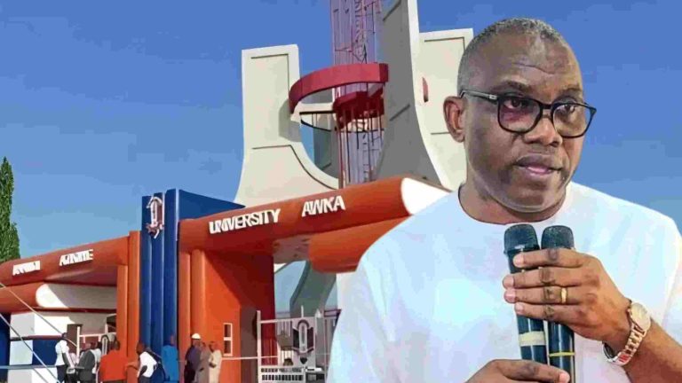 How Sacked UNIZIK VC Fraudulently Obtained Professorship – University