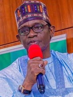 Governor Buni