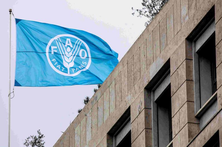 Lake Chad Govs Forum: 50 Million West Africans Face Hunger – FAO FAO