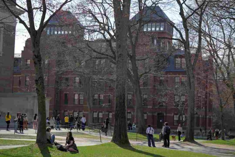 Students gather on the campus