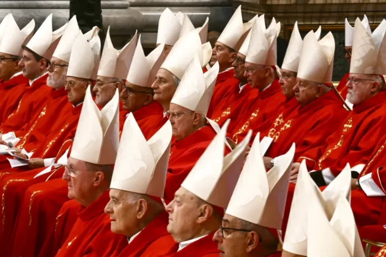 Catholic Cardinals Call For Worldwide Ceasefire Ahead Of Conclave Cardinals