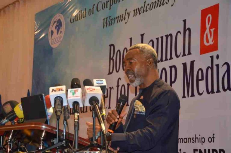 BOOK REVIEW: GOCOP’s ‘Nigeria Media Renaissance’: A Masterful Chronicle Of Online Publishing’s Evolution; By Ike Neliaku Dr Ike Neliaku