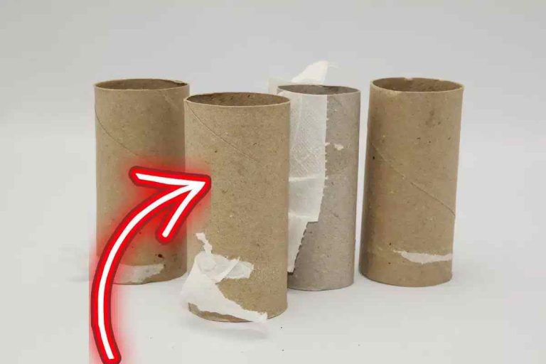 Empty Toilet Paper Rolls: Hidden Treasure