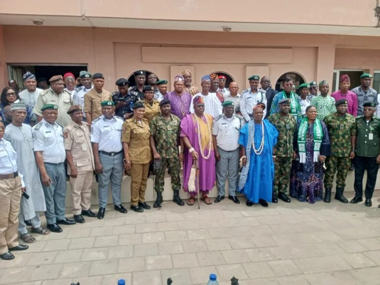 Multiple Checkpoints Along Lagos-Badagry Expressway Tarnishing Nigeria’s Image – Customs Customs