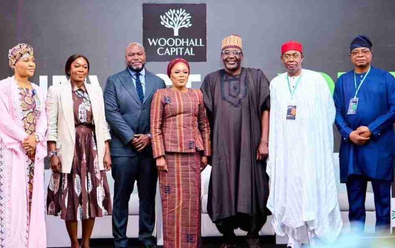Woodhall Capital Targets $50bn In Global Investments To Drive Nigeria’s Development
