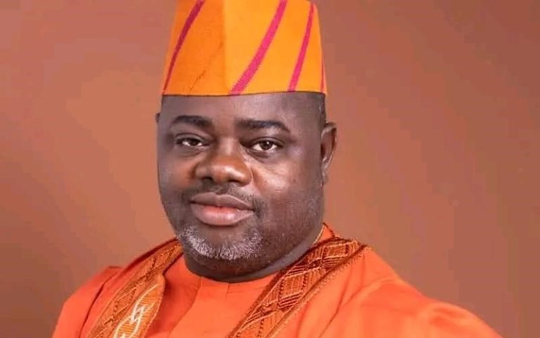 Comrade Domingo Adeleke