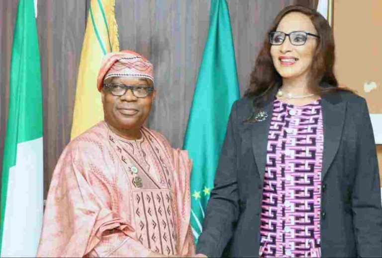 The Ojukwu-Enikanolaiye Doctrine: From Reactive Diplomacy To Offensive Statecraft; By Onibiyo Ezekiel Rotimi