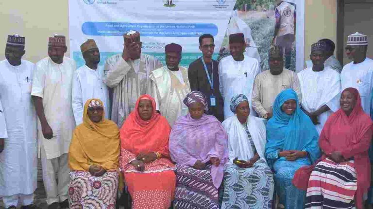 FAO, Borno Govt Brainstorm To Tackle Issues On Climate-Smart Agricultural Investment FAO-Borno