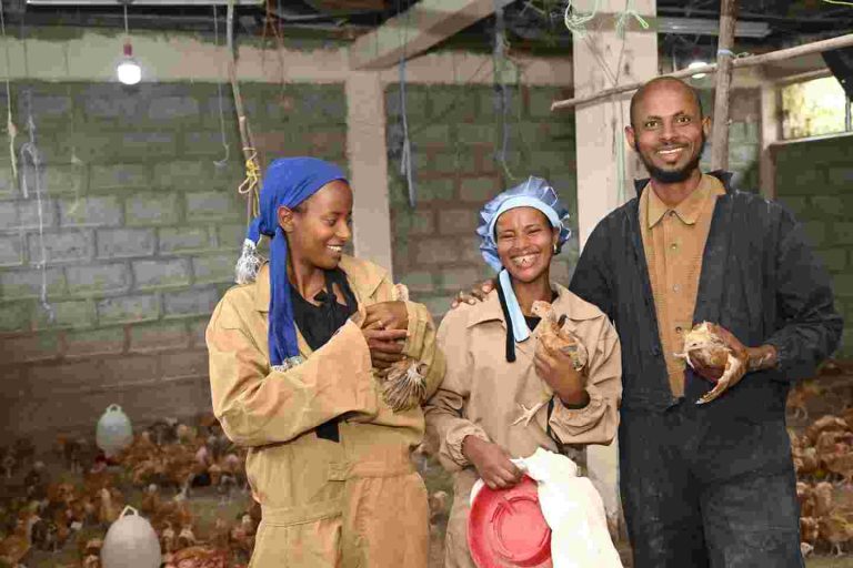 A Youth-Led Poultry Cooperative Gives Entrepreneurs In Ethiopia A Pathway To Decent Work Members of Tolera, Yakob and Friends Poultry Farm share responsibilities for feeding chicken, sanitation and daily operations.