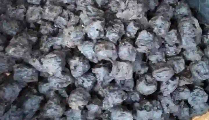 Locust Beans Support Heart Health, Improve Overall Well-Being – Doctor Okpehe