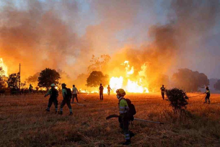 France, Spain Win Some Respite, As Wildfire Battles Rage Across Europe Residents and firefighters work to extinguish an advancing wildfire near Formariz in Zamora province, Spain, July 29. REUTERS-Umit Bektas