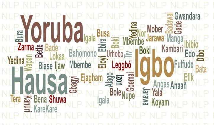 Nigeria’s Indigenous Languages Face Extinction Within 70 Years – Linguists Nigerian Languages