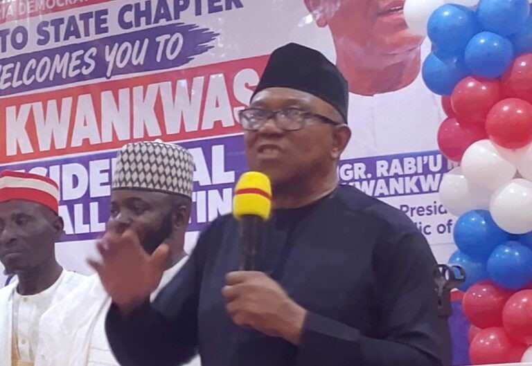 We’ll Reinstate Subsidy After Curbing Corruption In Nigeria — Obi Obi